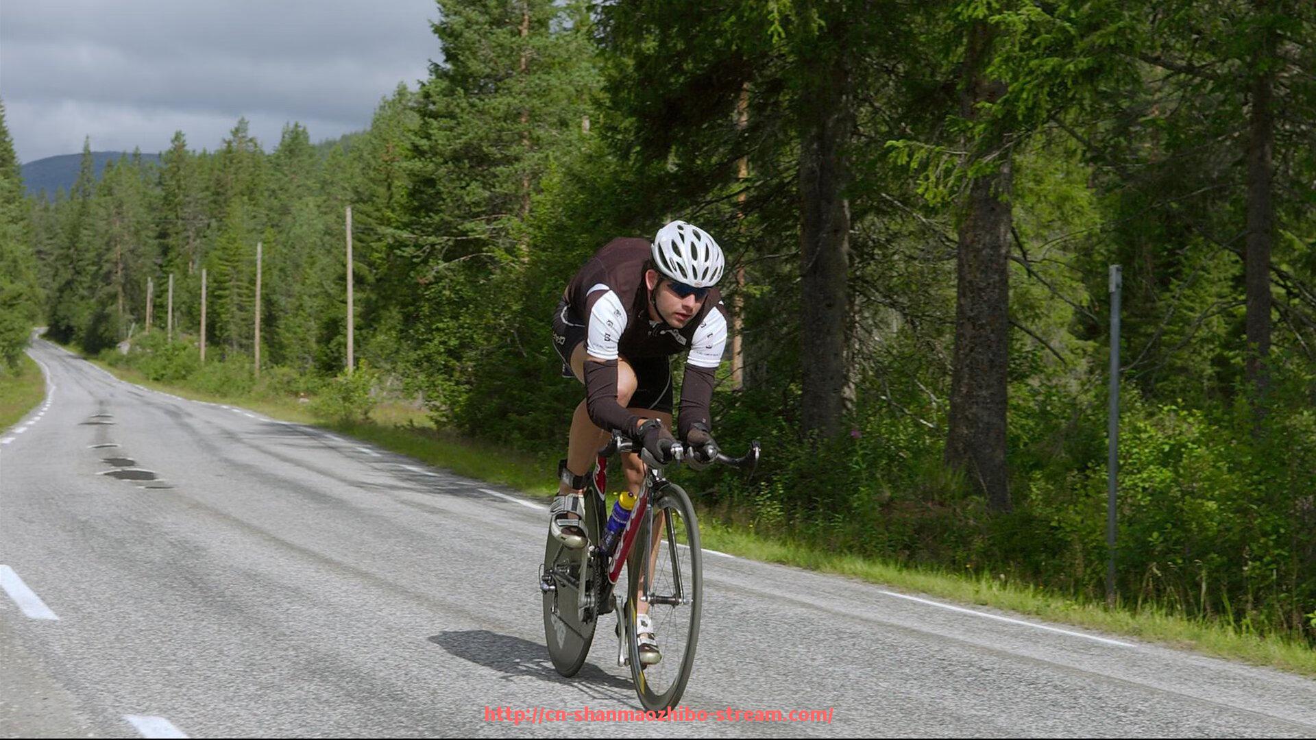 山猫直播官网-2014-2015赛季CBA四强球队详细介绍与分析