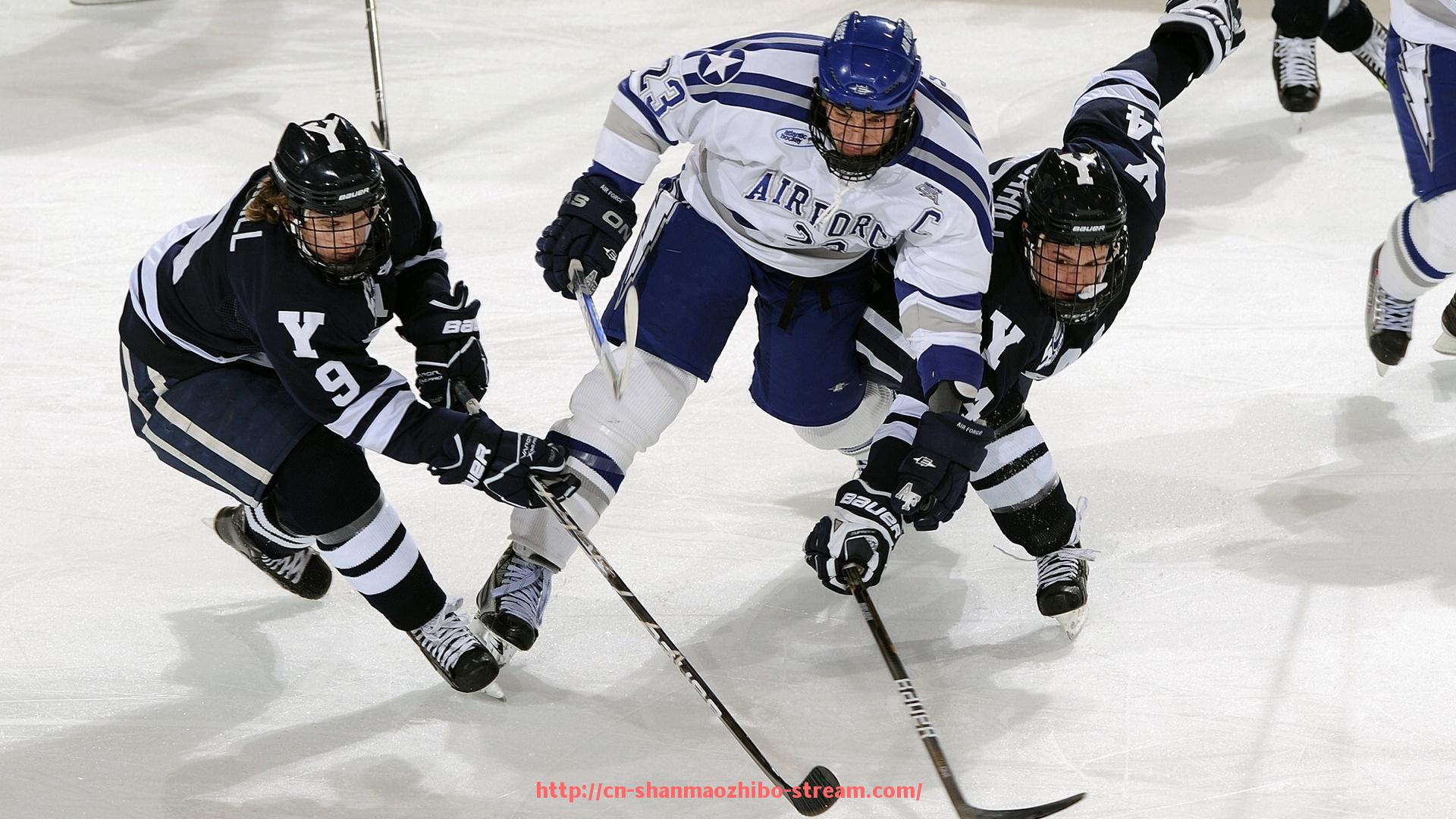山猫直播官网-英超现役球队详细资料汇总及赛季概况
