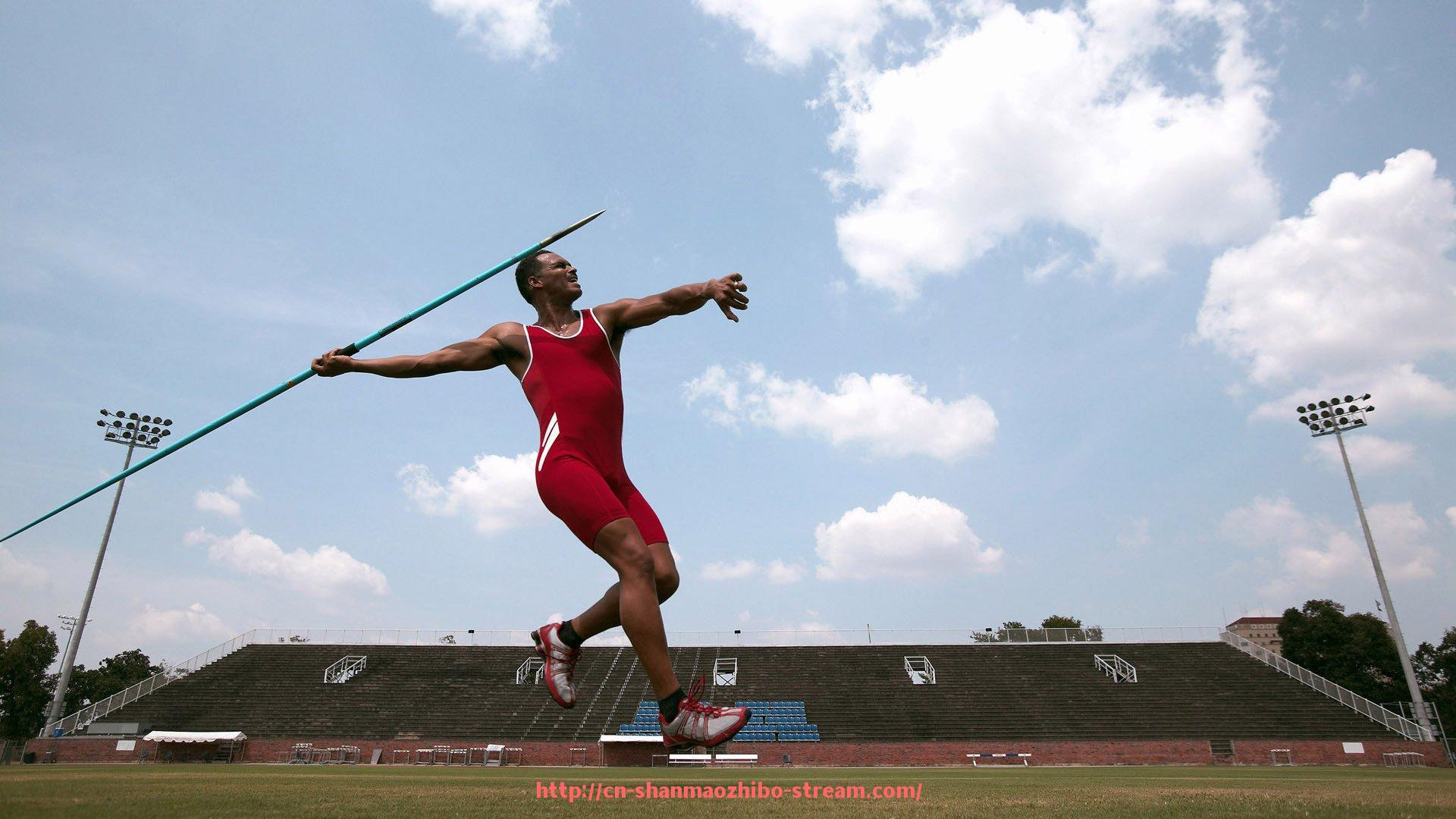 山猫直播官网-意甲球队的打法特点解析：战术风格与球队实力详解